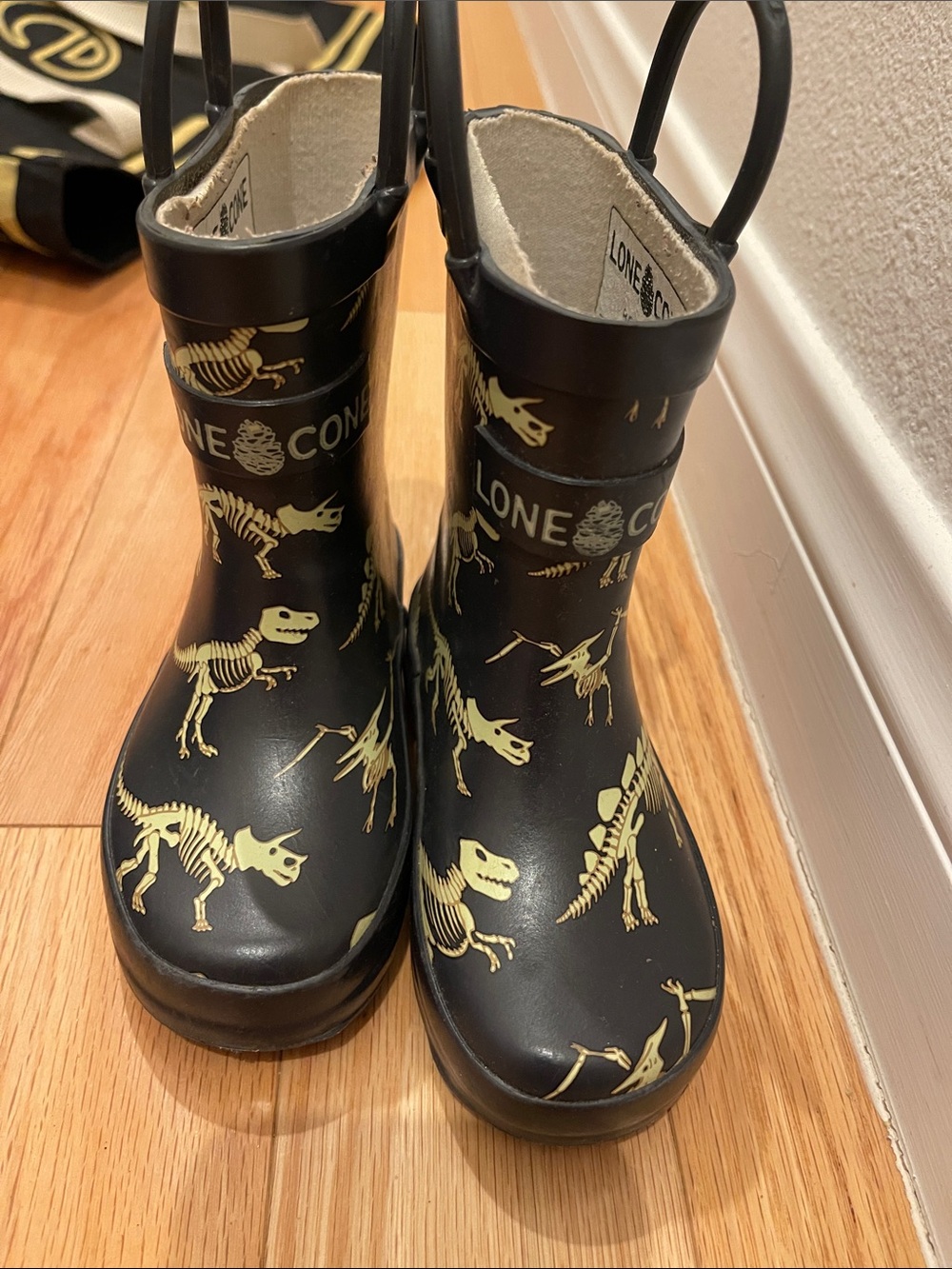 Lone Cone Kids' Black Dinosaur Skeleton Rain Boots